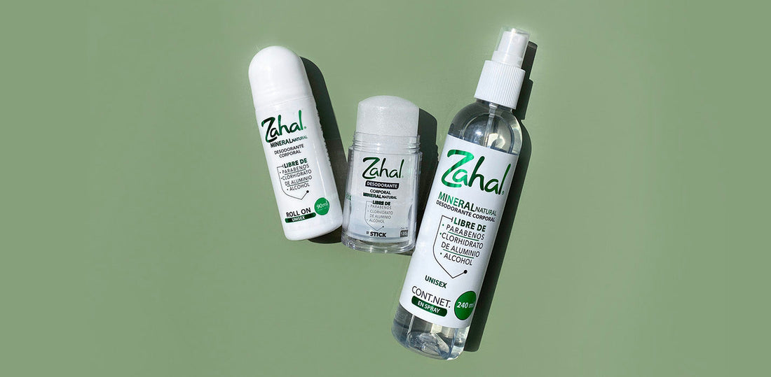 Filosofía Zahal.