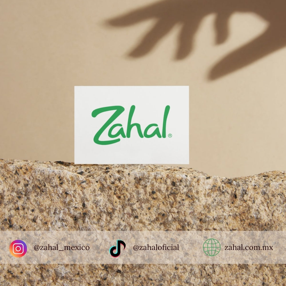 Desodorante Natural de Piedra de Alumbre ZAHAL Roll On Unisex 90 ml – Sin Clorhidrato de Aluminio, Sin Alcohol, Sin Fragancia, Sin Parabenos – Con Aloe Vera – Vegano, Orgánico, No Tóxico, pH Neutro